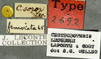 Media type: image;   Entomology 2692 Aspect: labels